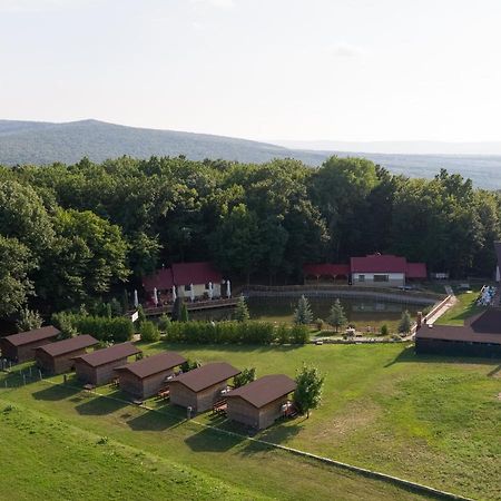 Complex Hamak Hotel Iasi Exterior photo