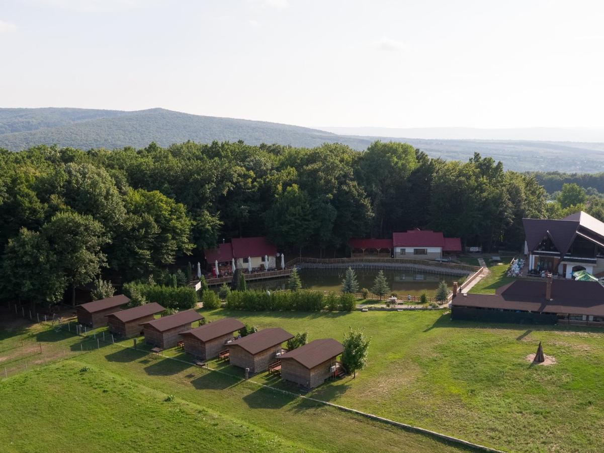 Complex Hamak Hotel Iasi Exterior photo