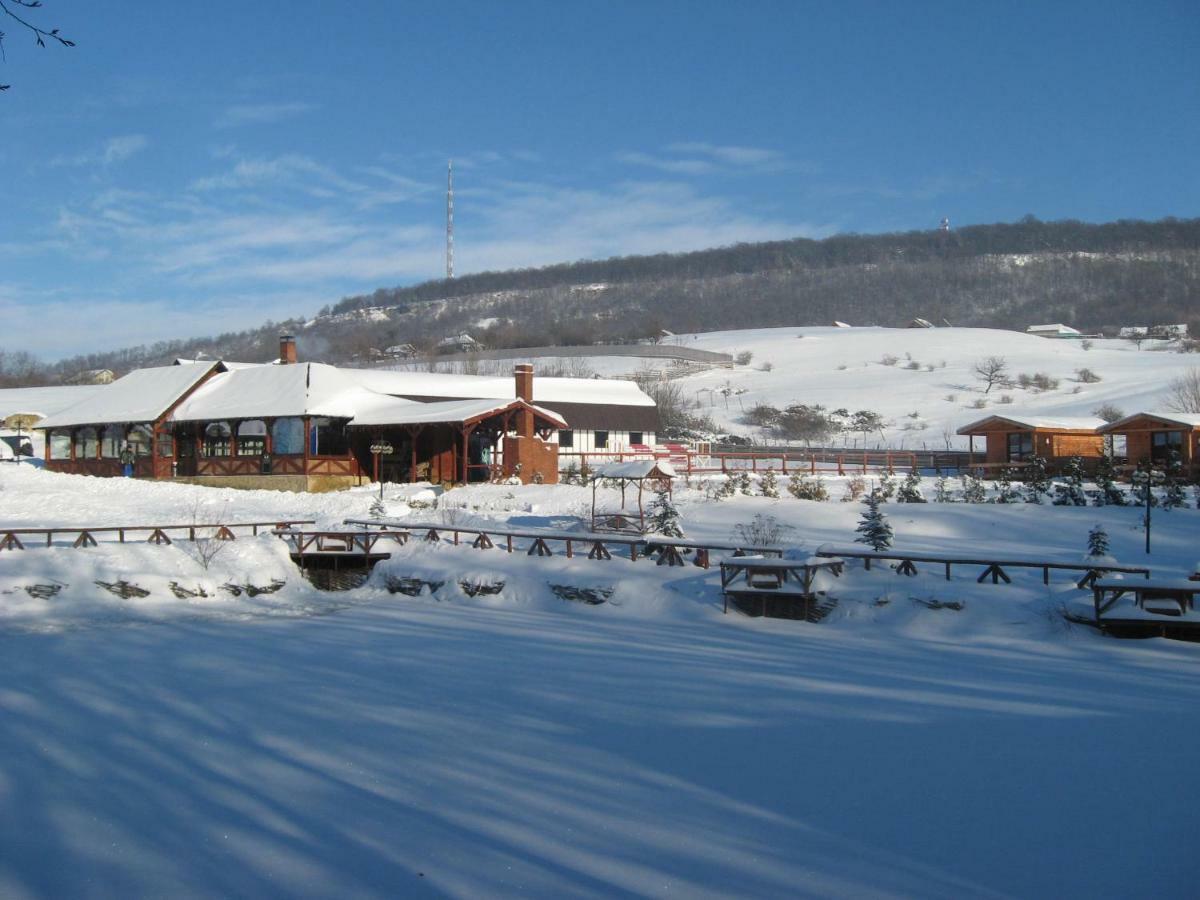 Complex Hamak Hotel Iasi Exterior photo